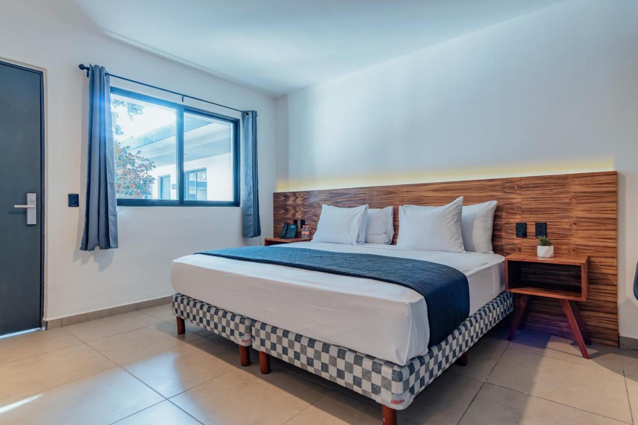 Habitación con cama extragrande.