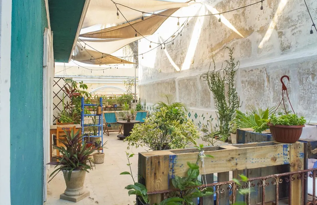 Casa Jade - Downtown Suites (Adults Only)-1