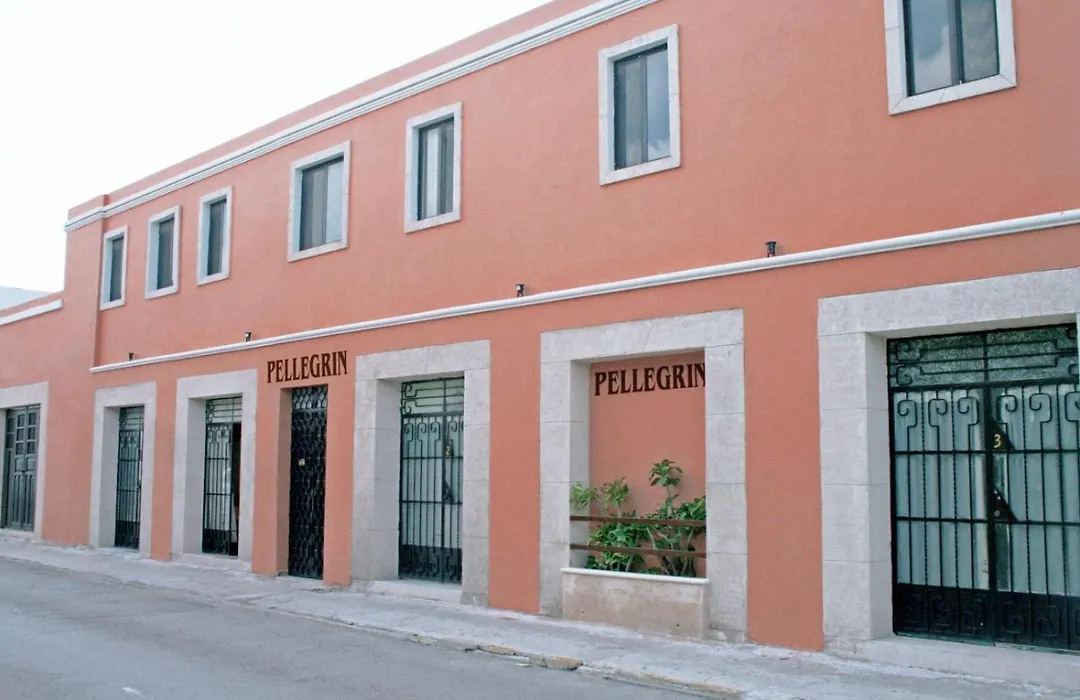 Hotel Casa Pellegrin-1