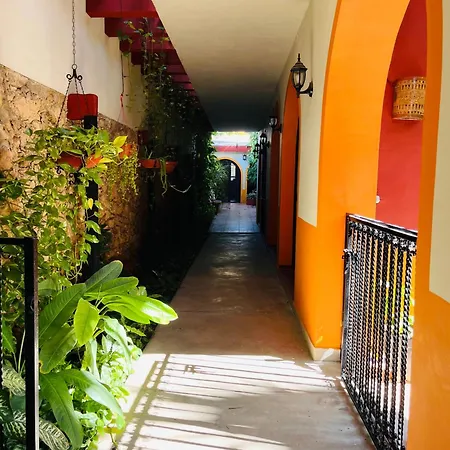 Casa Tres Colibries-3