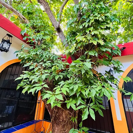Casa Tres Colibries-2