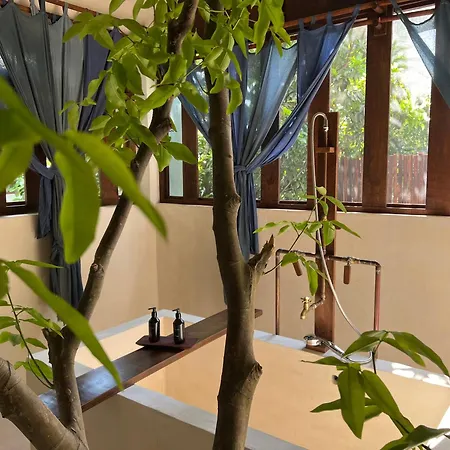 Japoneza Retreat Mérida - Adults Only by Cercana-3