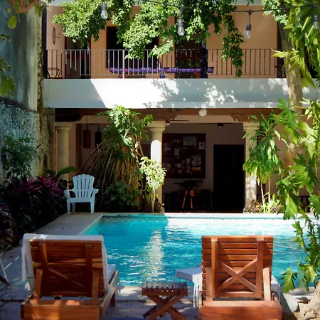 Siesta Fiesta Hotel & Hostel-2