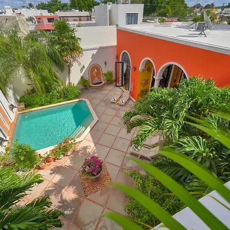 Casa Oasis Guest House And Spa-3