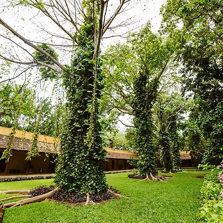 Hacienda Misne-2