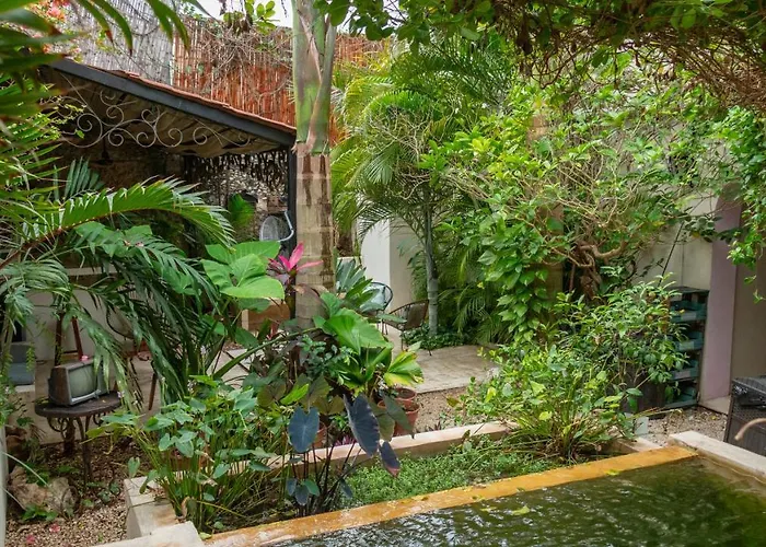 Bed and Breakfast Kuka Y Naranjo Mérida