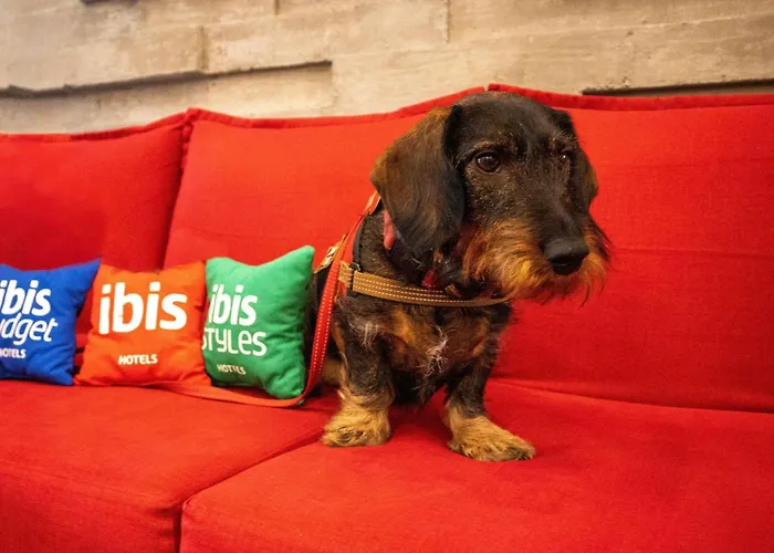Ibis Mérida